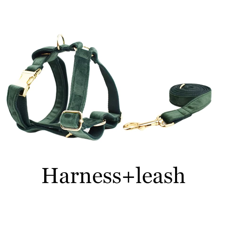 Teal velvet dog harness with matching leash and gold-tone buckles