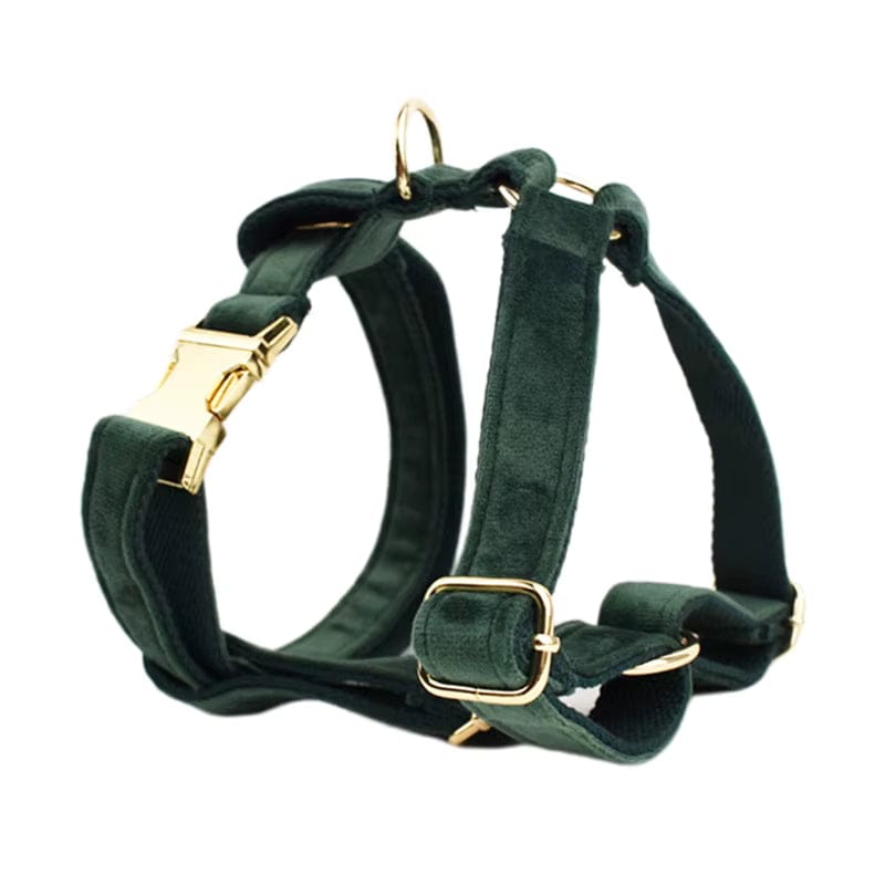 Teal velvet dog harness with gold-tone buckles and D-rings
