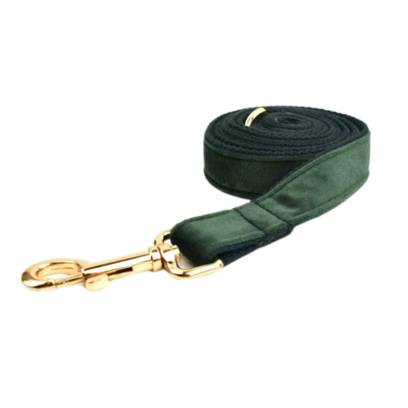 Teal velvet dog leash with gold metal clasp and swivel ring