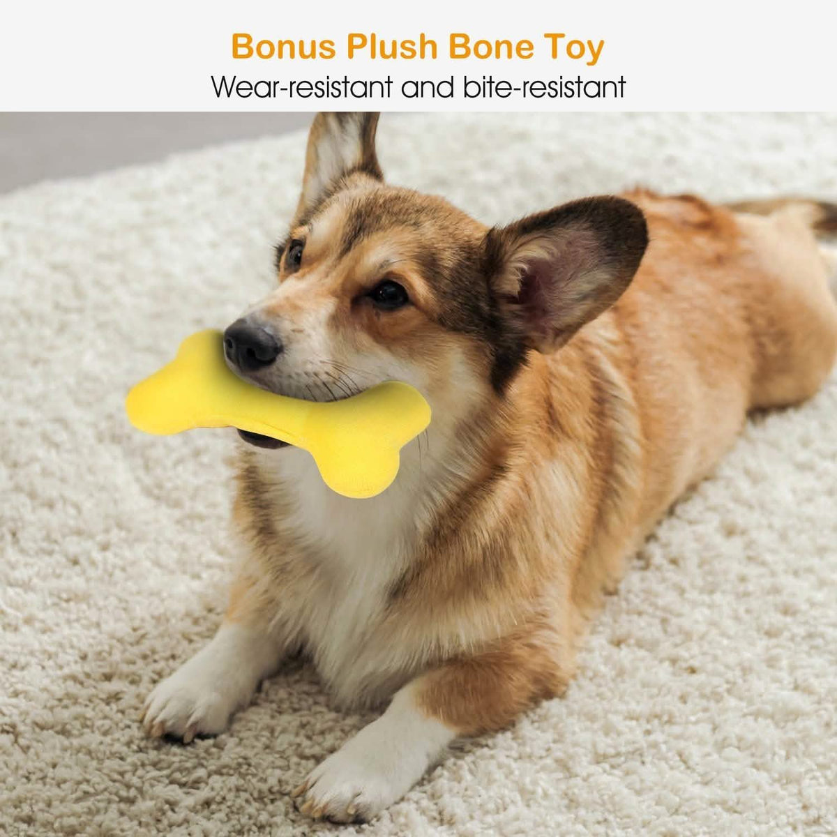 Dog chewing a yellow plush bone toy on a white fluffy carpet.
