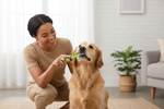 Green pet toothbrush with dual-sided bristle head for dog teeth cleaning