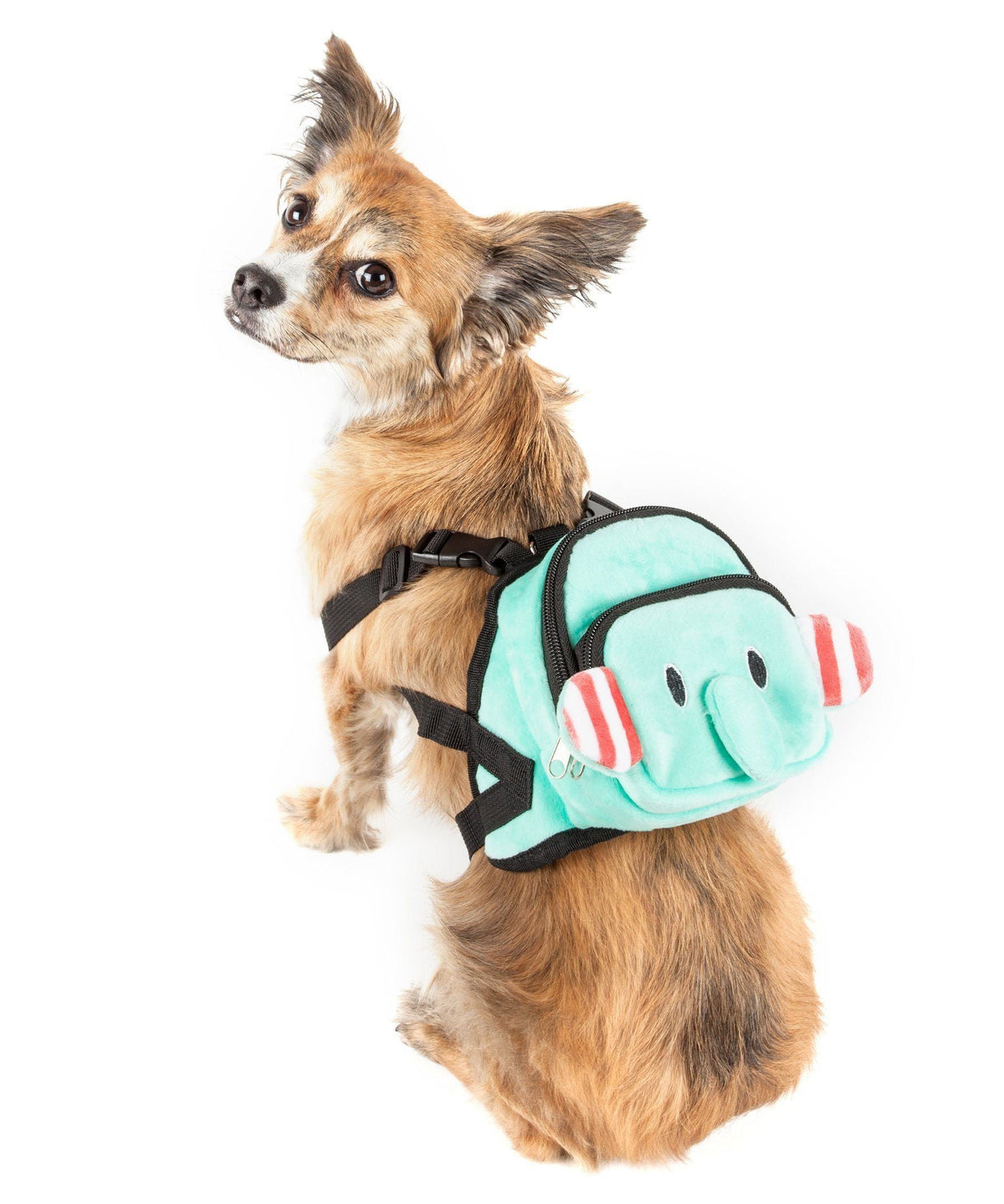 Dog wearing turquoise plush animated harness backpack with black straps and dumbbone design