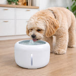 White pet water fountain on floor with small dog drinking from the bubbling spout