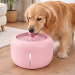 Pink pet water fountain on floor with dog drinking from the bubbling water spout