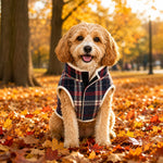 Plaid insulated dog coat with cozy sherpa trim in navy and red