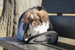 Blue travel dog carrier with front mesh panel; pet sitting inside with head out