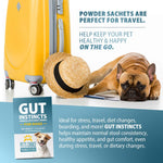Gut Instincts probiotic powder sachets shown for travel, with dog lying nearby
