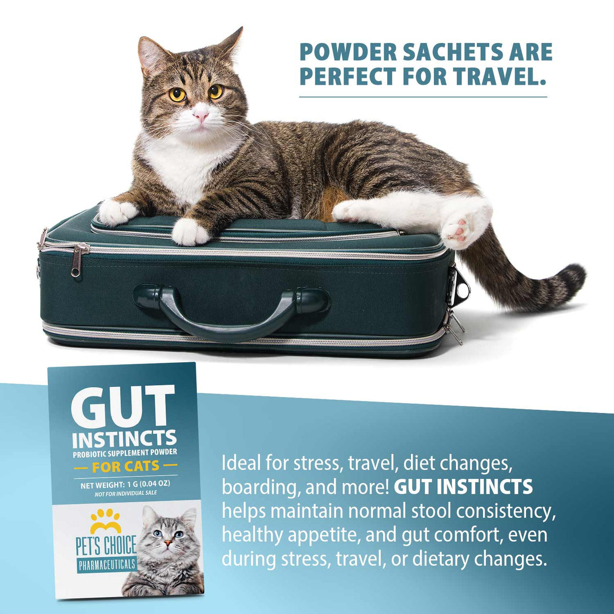 Cat probiotic powder sachets for travel, shown with cat on travel case and box