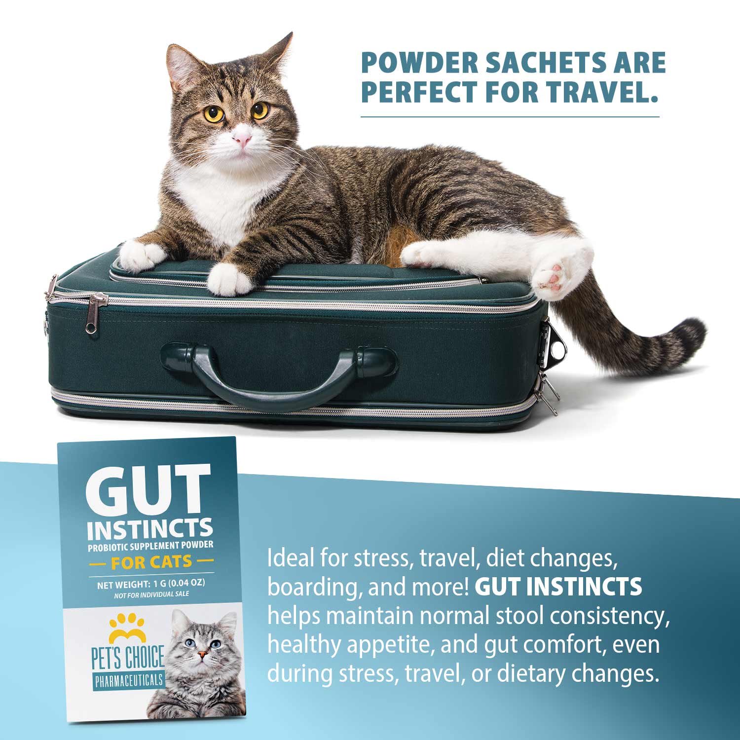 Cat probiotic powder sachets for travel, shown with cat on travel case and box