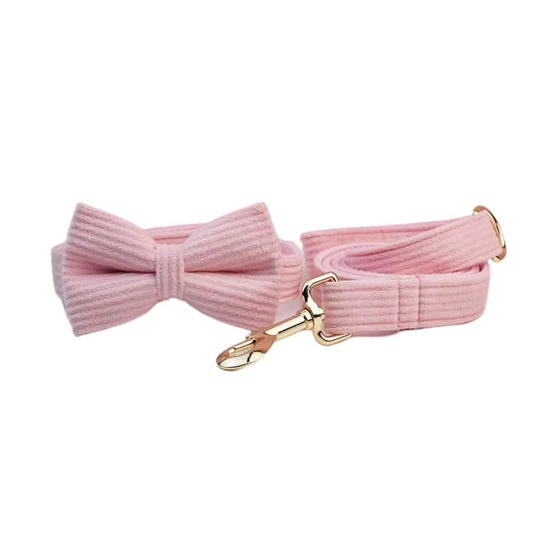 Pink corduroy bow tie collar and matching leash with gold clips
