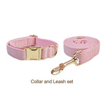 Pink corduroy collar and leash set with gold hardware