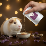 Herbal food topper pouch over small pet rabbit and bowl
