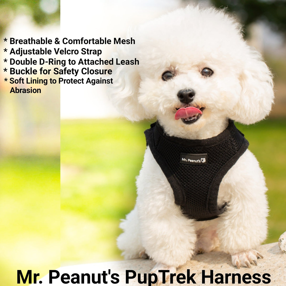 Black mesh dog harness with front straps and soft lining