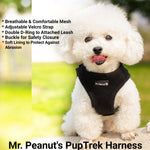 Black mesh dog harness with front straps and soft lining