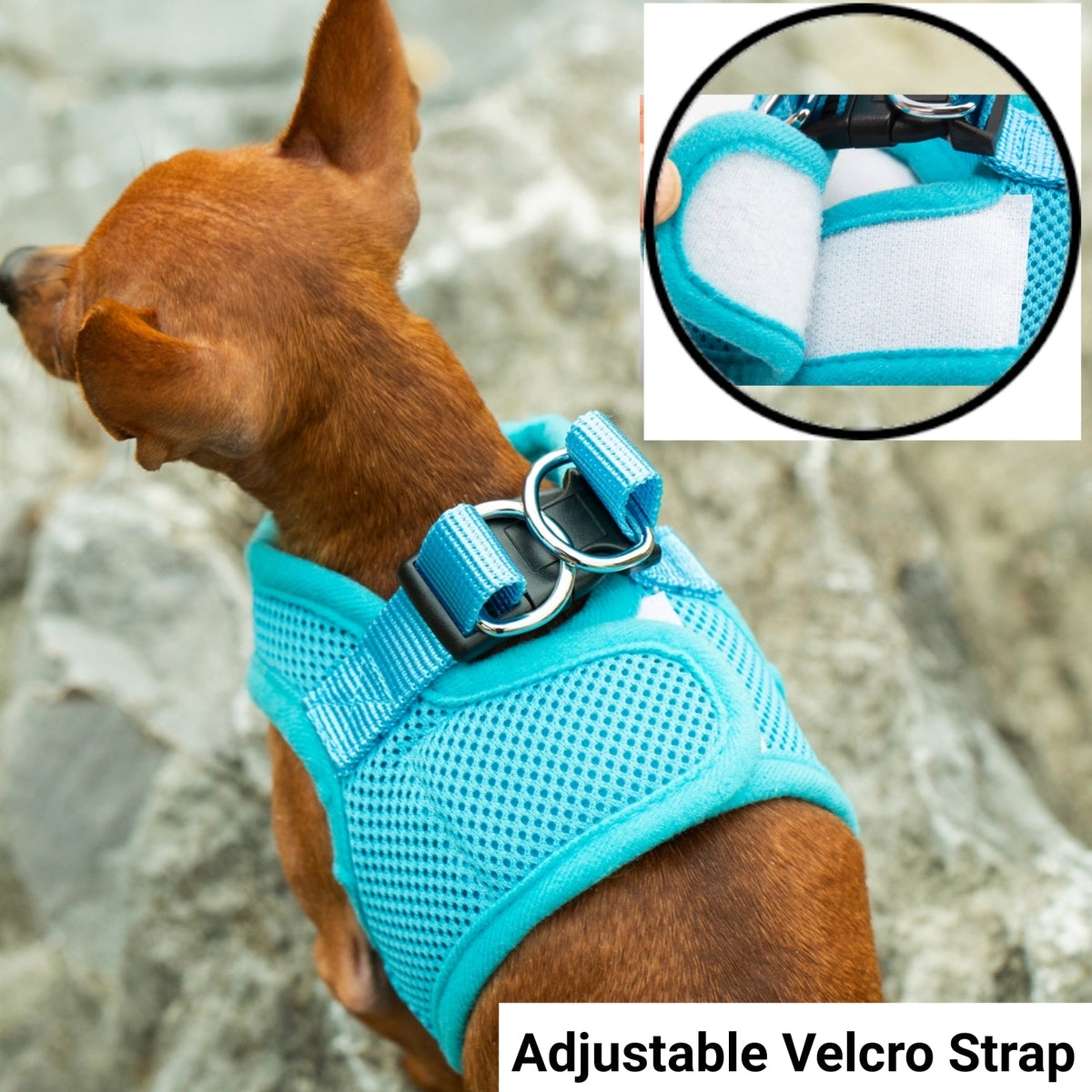 Turquoise mesh dog harness with adjustable Velcro strap and D-ring