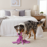 Animal-shaped rubber molar chew toy, pink octopus design with textured tentacles