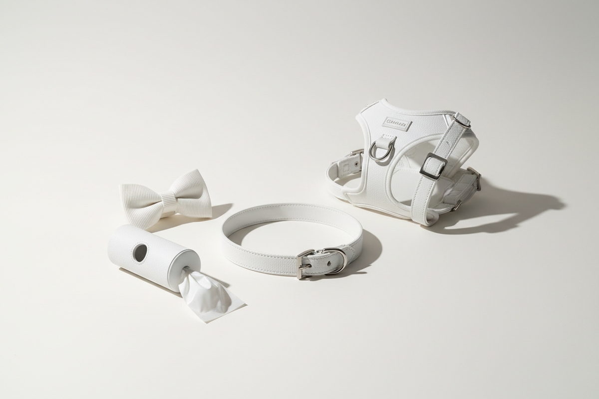 White leather set with bowtie collar, harness, leash, and poop bag holder