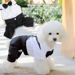 Black and white pet outfit with large bow tie and fitted jacket