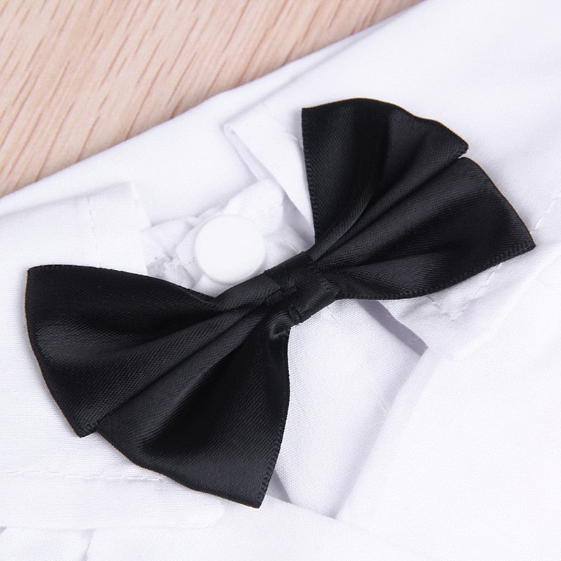 Close-up of black bow tie on white shirt collar of pet tuxedo suit