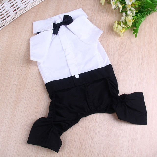 Flat lay of white-and-black pet tuxedo suit with bow tie and snap button
