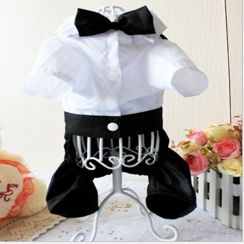 White pet jacket with black belt and black bow tie, front view