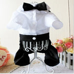White pet jacket with black belt and black bow tie, front view