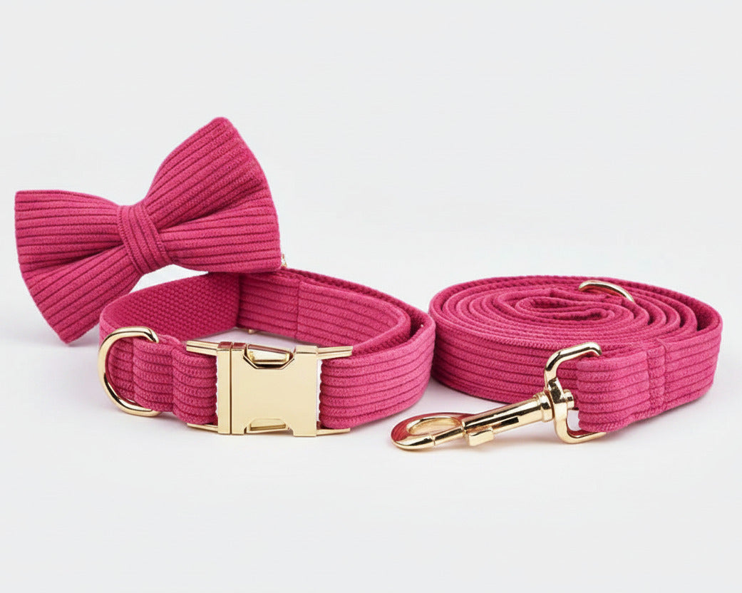 Red corduroy bowtie collar with matching leash and gold hardware