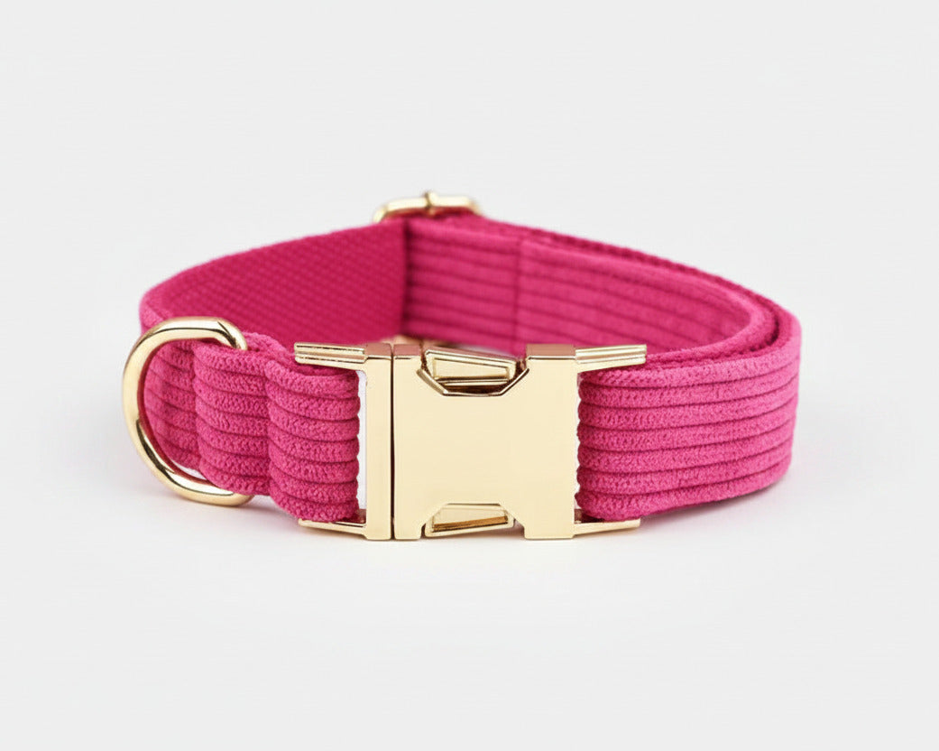 Pink corduroy collar with gold-tone buckle and ID plate