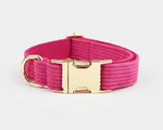 Pink corduroy collar with gold-tone buckle and ID plate
