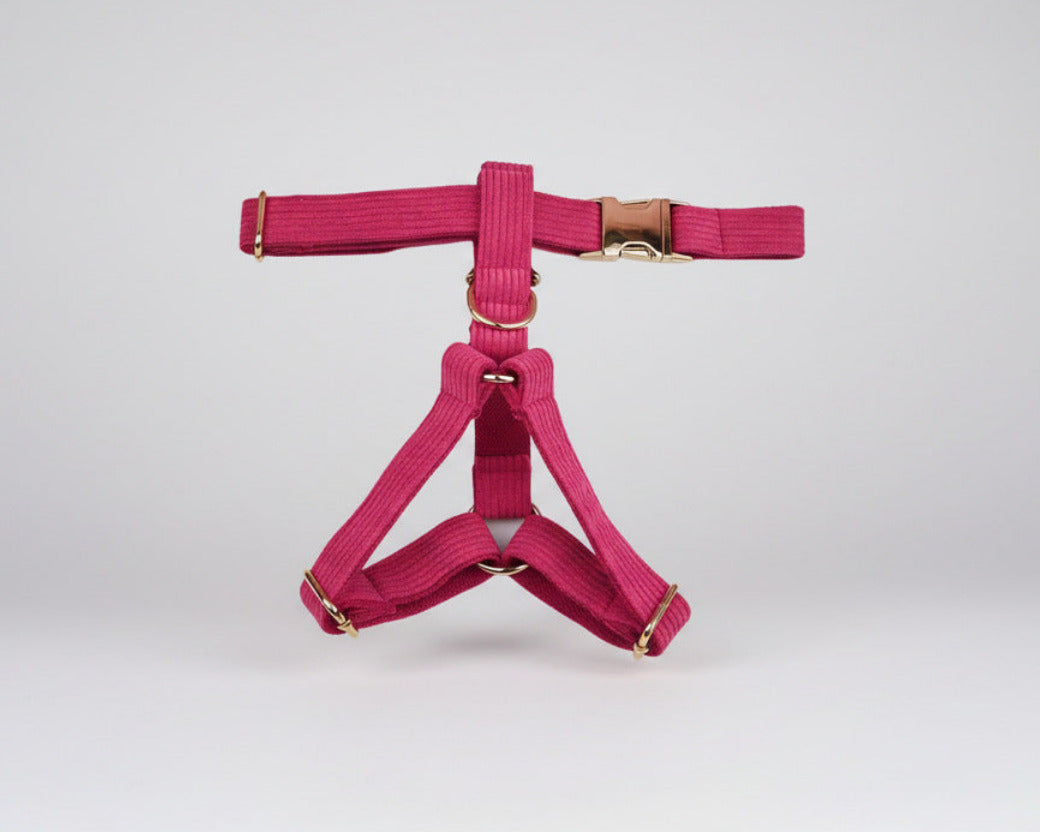 Pink corduroy dog harness with metal rings and front clasp