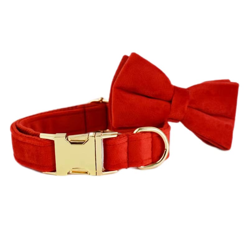 Red velvet dog collar with bowtie and gold metal buckle, close-up