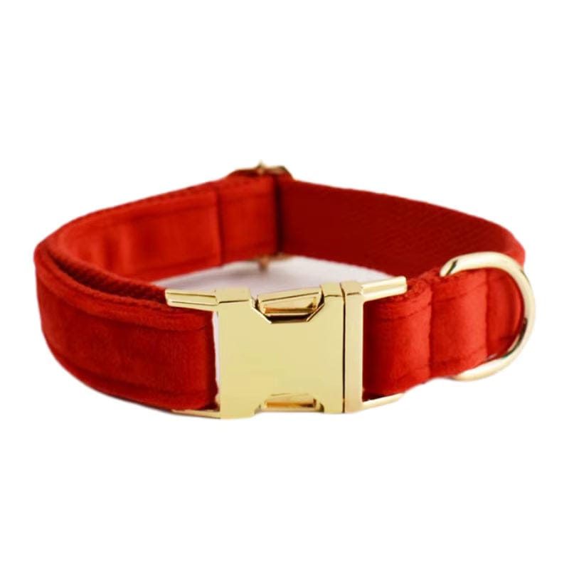 Red velvet dog collar with gold buckle and ring, soft padded red strap