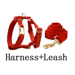 Red velvet dog harness with gold buckles and matching coiled leash