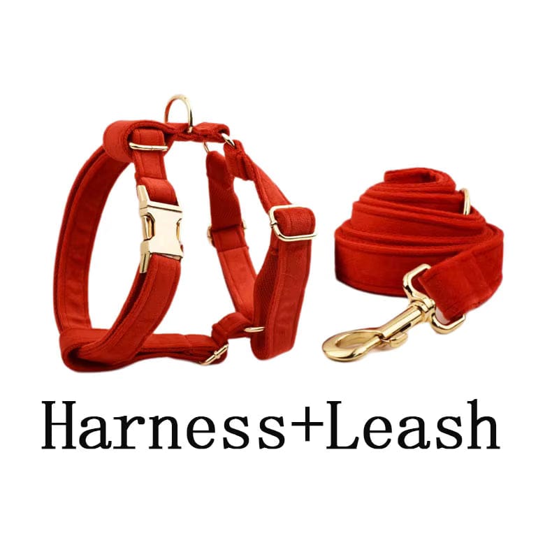 Red velvet dog harness with gold buckles and matching coiled leash