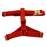 Red velvet dog harness with gold buckles and padded red straps