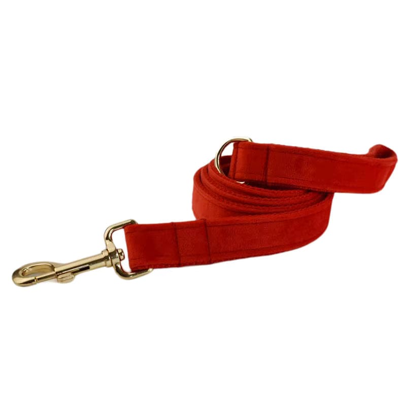 Red velvet dog leash with gold clasp and padded red handle loop