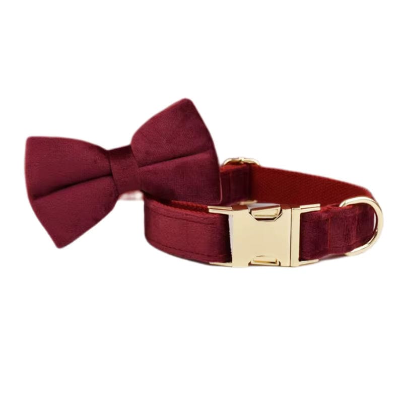 Red wine velvet dog collar with large bowtie and gold clasp hardware