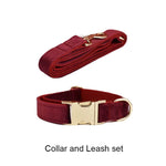 Burgundy velvet collar and leash set with gold-tone hardware