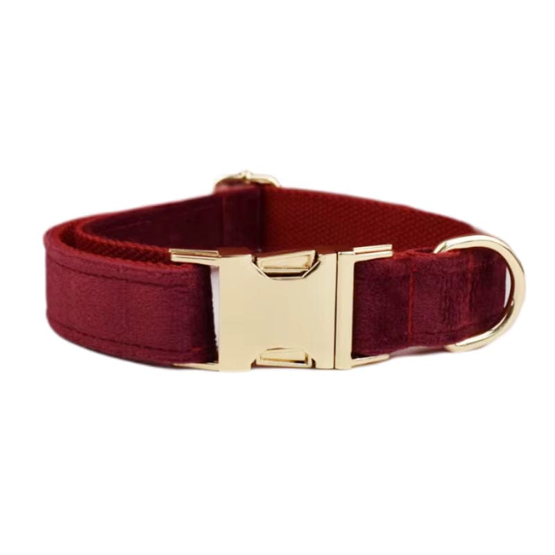Burgundy velvet dog collar with gold-tone buckle and D-ring clasp