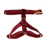 Burgundy velvet dog harness with chest straps and gold-tone buckles