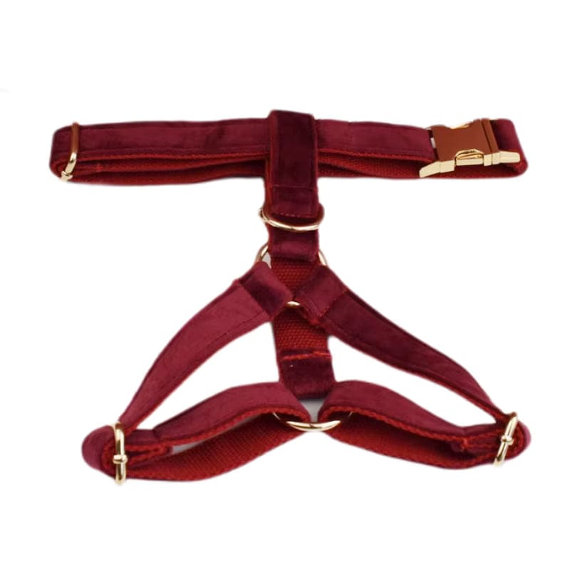 Burgundy velvet dog harness with chest straps and gold-tone buckles