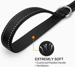 Reflective pet leash in black with silver D-ring, cushioned padded handle, and reflective panel