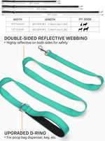 Reflective pet leashes, turquoise double-sided reflective webbing with metal D-ring