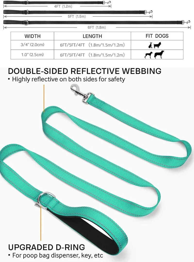 Reflective pet leashes, turquoise double-sided reflective webbing with metal D-ring