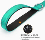 Reflective pet leash, turquoise cushioned padded handle with silver D-ring and reflective panel