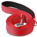 Reflective pet leash in red with black edging and metal clasp, coiled