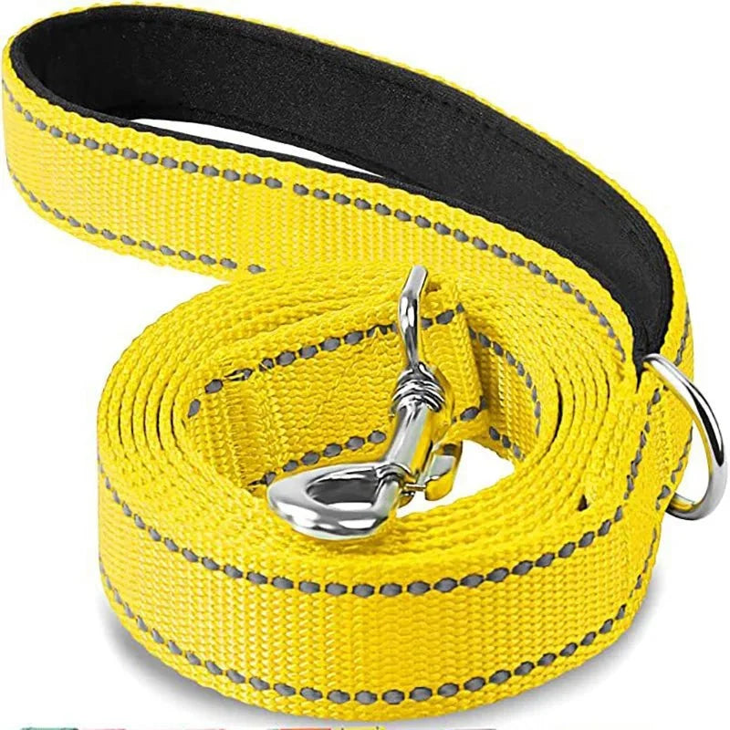 Yellow pet leash with swiveling metal hook and black-backed webbing, coiled