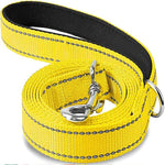 Yellow pet leash with swiveling metal hook and black-backed webbing, coiled