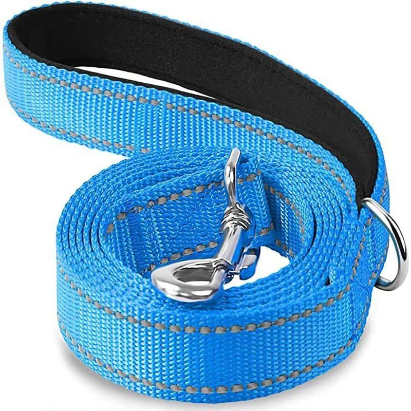 Reflective pet leash in bright blue with black edging and metal clasp, coiled