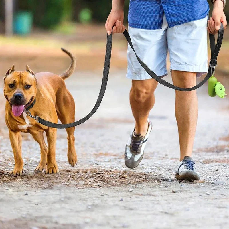 Reflective pet leash in use: person holds black leash while walking dog